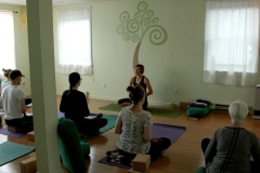 Group Yoga-Meditation